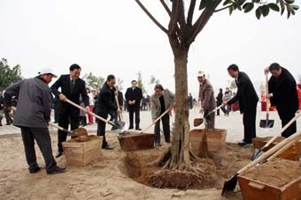 Hoài niệm Tết trồng cây - 2 Con cháu bây giờ học tiền nhân
