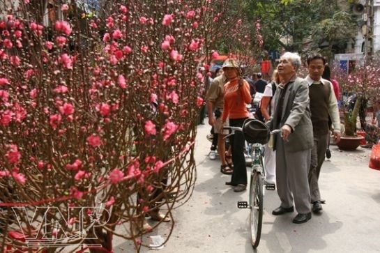 Gửi muôn ngàn lời chúc tết yêu thương! - 1 Gửi muôn ngàn lời chúc tết yêu thương!