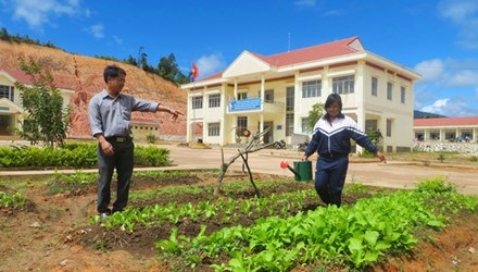 Giáo viên vùng cao “nghe Tết mà... tủi!” - 1 Thầy trò vùng cao cùng
trồng rau cải thiện bữa ăn
