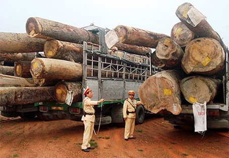 Xe quá khổ, quá tải cày nát đường quốc lộ. Ảnh: HNM