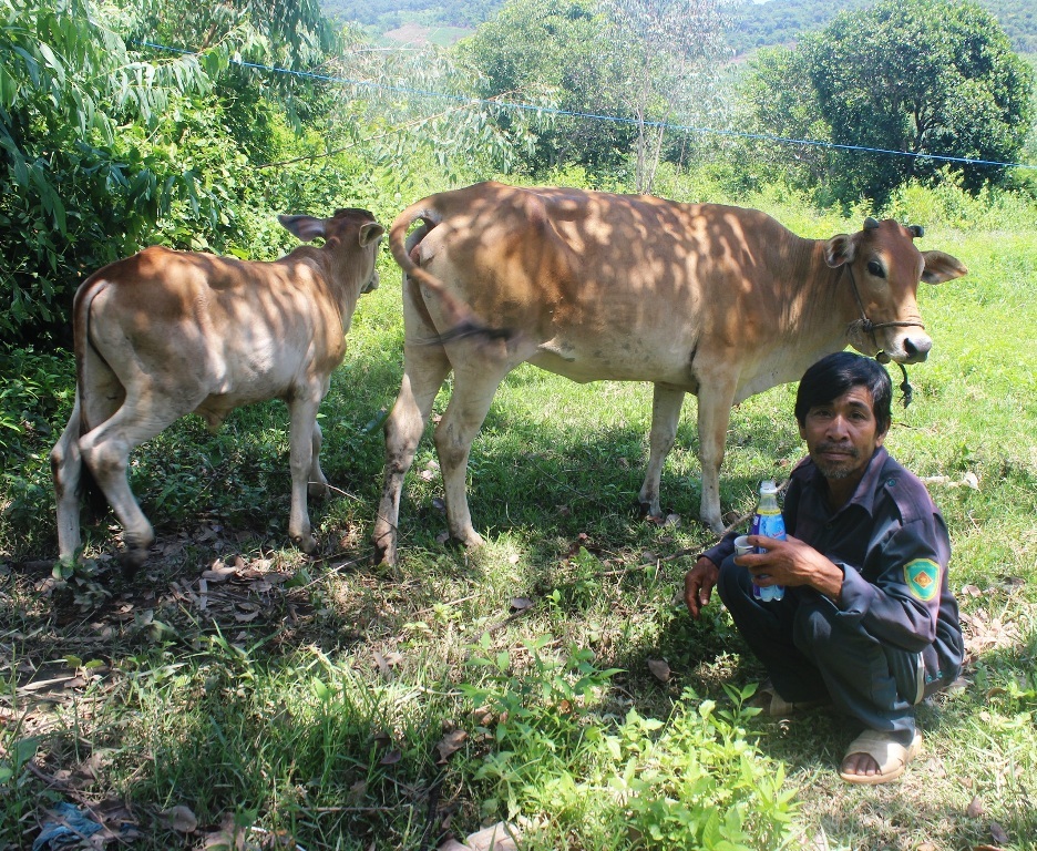 Kinh tế nhà ông Trần Văn Miên khá giả hơn khi quay lại làng Trà Hương
