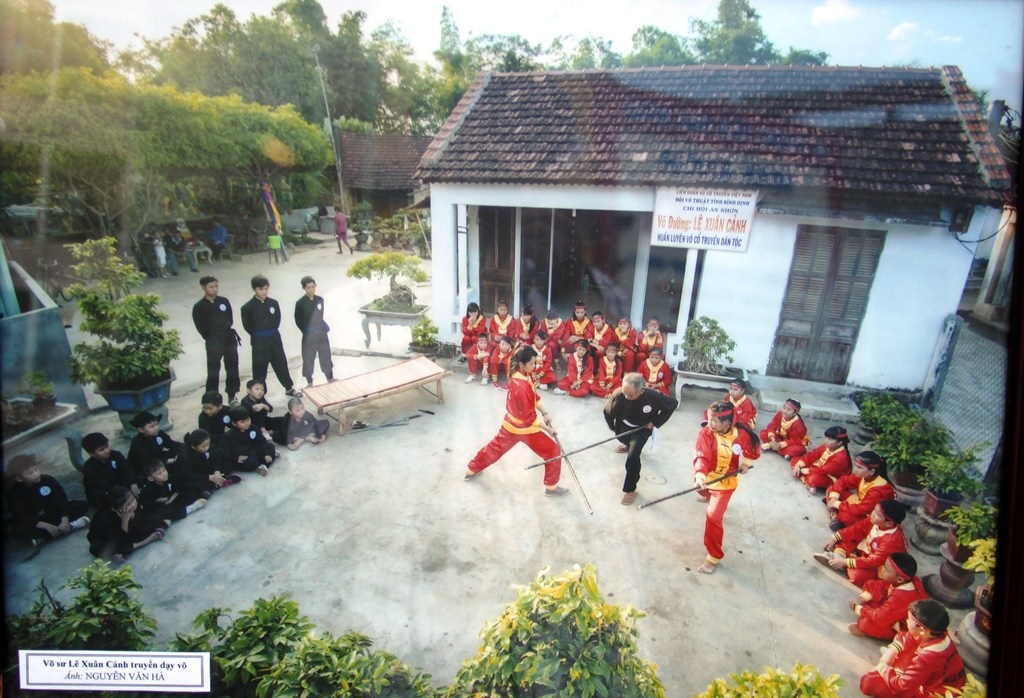 Bình Định: Chiêm ngưỡng tinh hoa võ cổ truyền Việt Nam và thế giới - Ảnh 8.