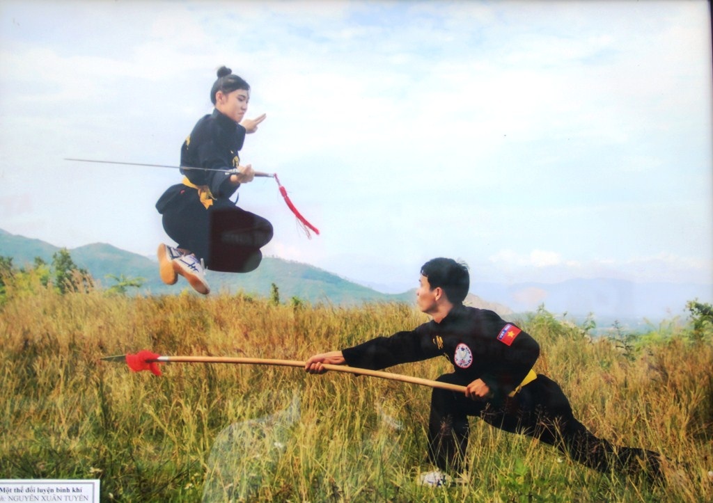 Bình Định: Chiêm ngưỡng tinh hoa võ cổ truyền Việt Nam và thế giới - Ảnh 11.