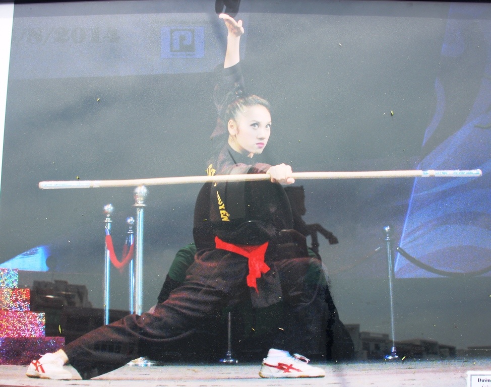 Bình Định: Chiêm ngưỡng tinh hoa võ cổ truyền Việt Nam và thế giới - Ảnh 5.