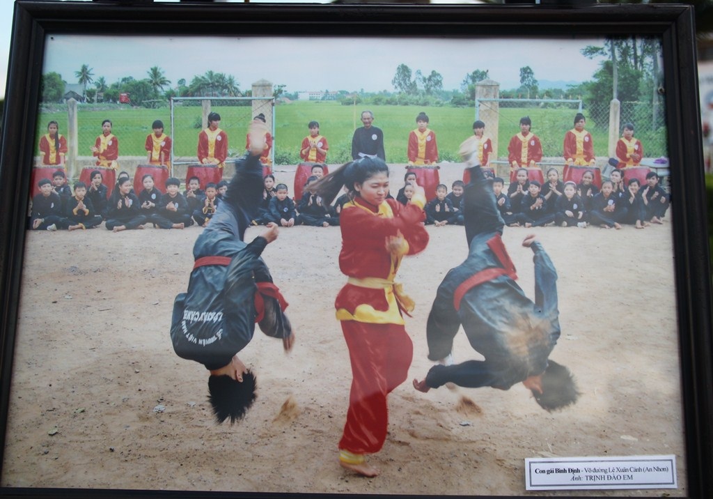 Bình Định: Chiêm ngưỡng tinh hoa võ cổ truyền Việt Nam và thế giới - Ảnh 6.