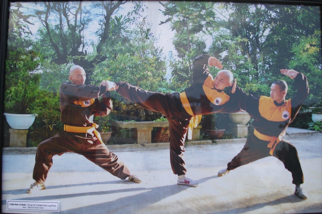 Bình Định: Chiêm ngưỡng tinh hoa võ cổ truyền Việt Nam và thế giới - Ảnh 12.