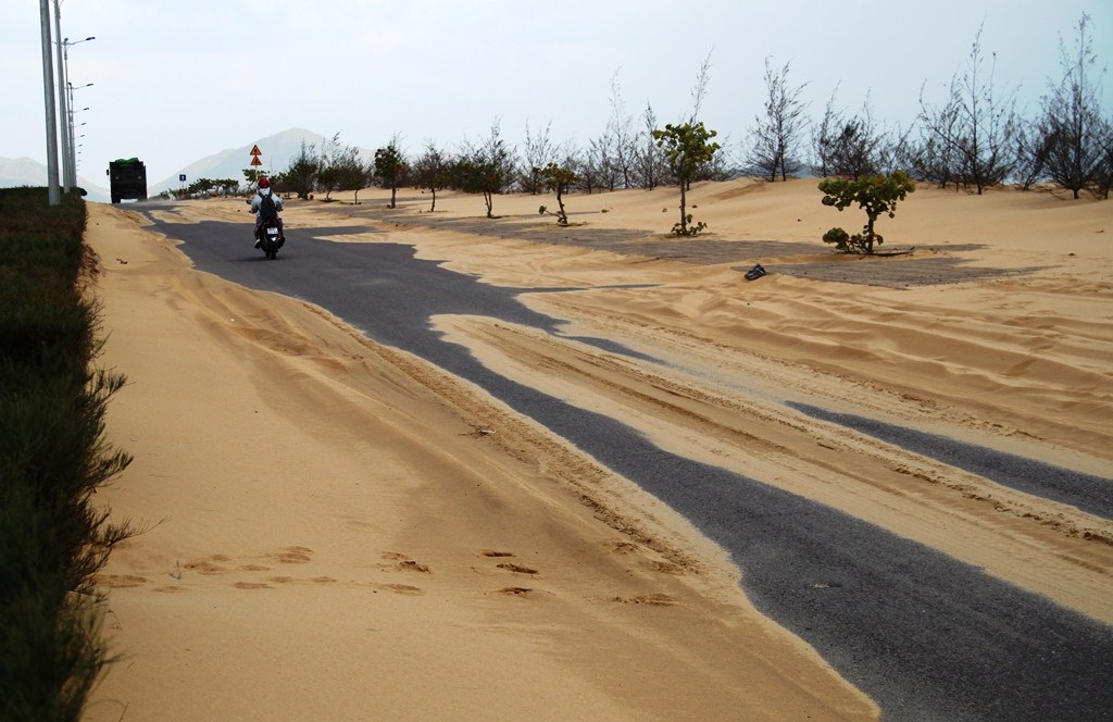 Bình Định: Cát bay lấp đường Khu kinh tế Nhơn Hội - Ảnh 5.