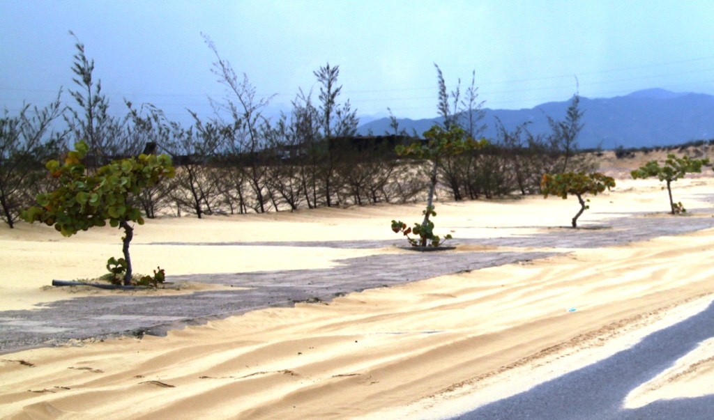 Bình Định: Cát bay lấp đường Khu kinh tế Nhơn Hội - Ảnh 9.