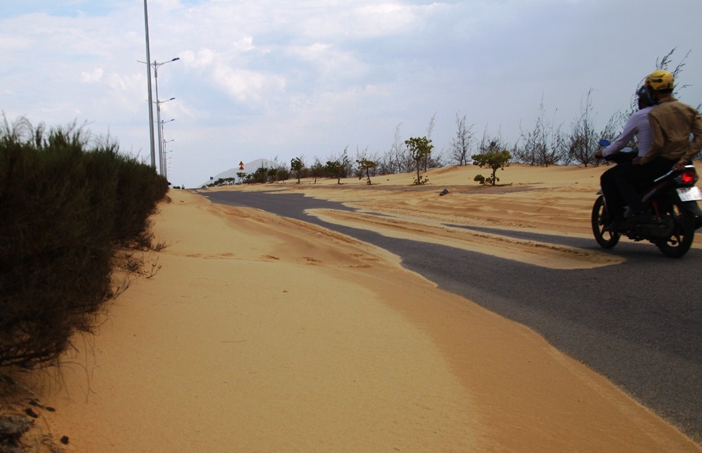 Bình Định: Cát bay lấp đường Khu kinh tế Nhơn Hội - Ảnh 10.