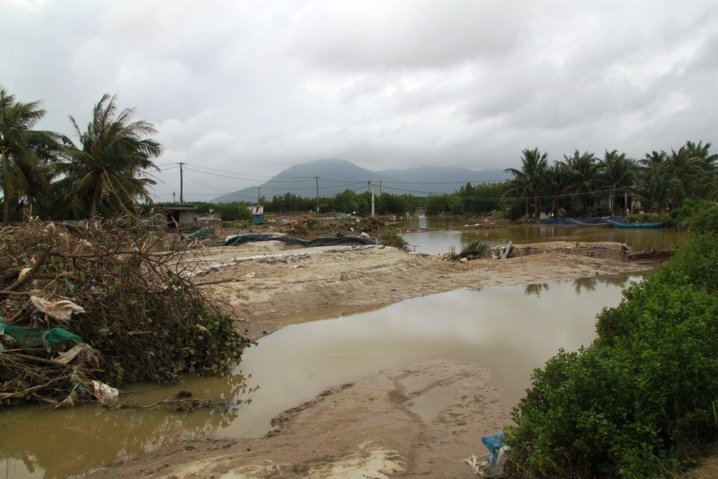 Cánh đồng tôm thôn An Xuyên 3 (xã Mỹ Chánh, huyện Phù Mỹ) tan hoang sau lũ dữ.