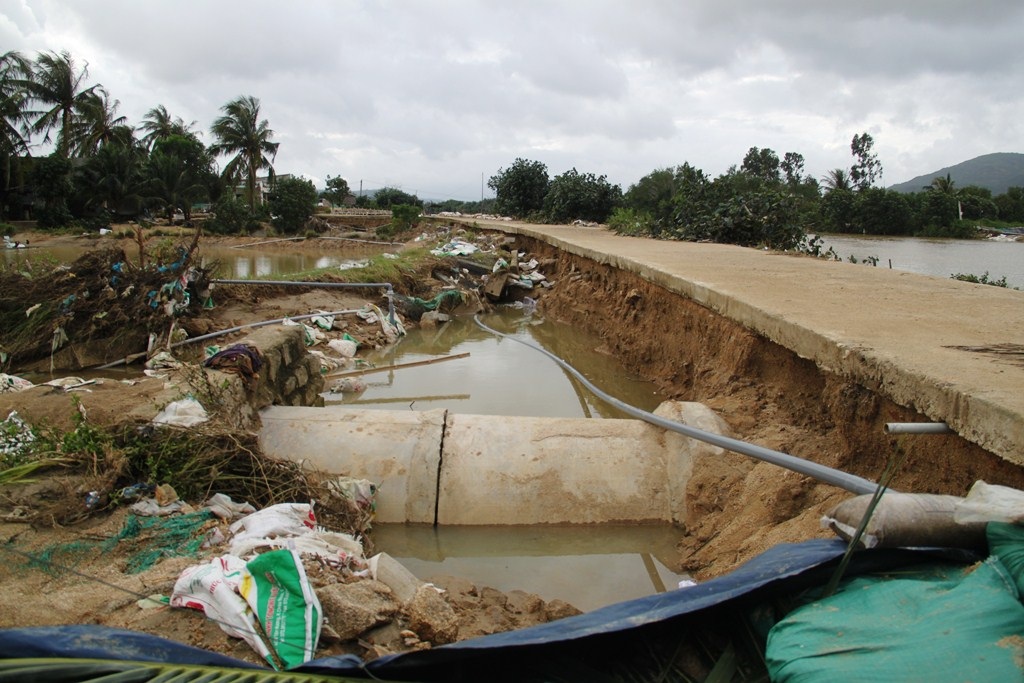 Bình Định: Hàng trăm hồ tôm bị xóa sổ, dân trắng tay sau lũ - 6