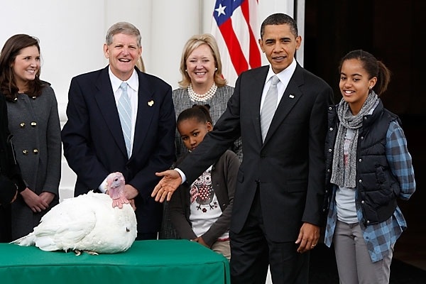 Những mùa lễ Tạ ơn của Tổng thống Obama trong Nhà Trắng - 9 2009 là năm đầu tiên ông Obama thực hiện nghi lễ xá tội cho gà tây nhân dịp lễ Tạ ơn trên cương vị tổng thống. Hai con gái của ông cũng tham gia nghi lễ chỉ diễn ra duy nhất một lần trong năm này. Vào lễ Tạ ơn năm 2017, Tổng thống đắc cử Donald Trump sẽ là người thực hiện nghi lễ xá tội truyền thống này tại Nhà Trắng (Ảnh: Reuters)
