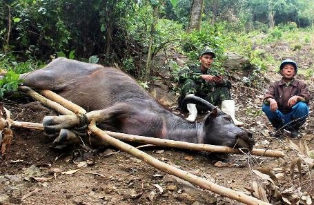 Rét kỷ lục, tuyết phủ trắng nhiều nơi