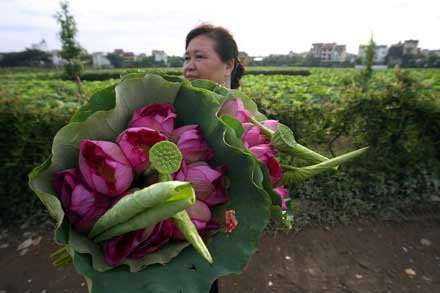 “Vòng cuối” bình chọn quốc hoa tại TPHCM - 1 “Vòng cuối” bình chọn quốc hoa tại TPHCM - 1