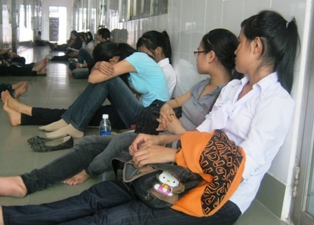Sĩ tử trốn nắng dưới gốc cà phê - 2 Sĩ tử trốn nắng dưới gốc cà phê - 2