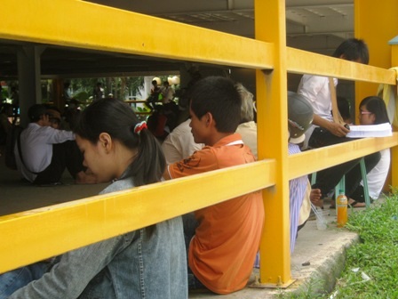 Sĩ tử trốn nắng dưới gốc cà phê - 7 Sĩ tử trốn nắng dưới gốc cà phê - 7