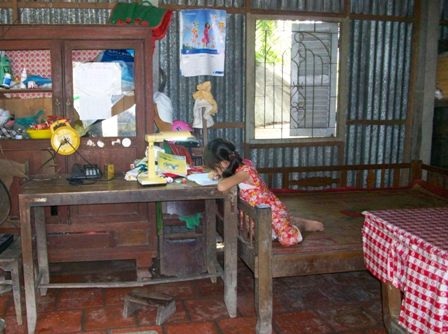 Nước mắt người chị trong gia đình bố mất, mẹ và em bạo bệnh - 2