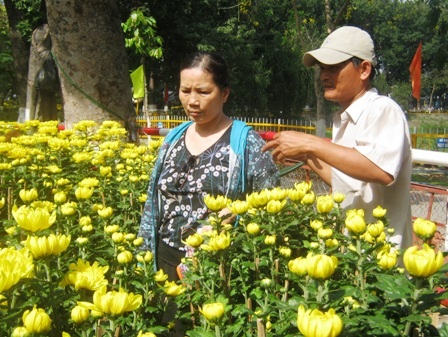 Ít khách mua, người bán hoa cảnh “rảnh mà rầu” - 2 Ít khách mua, người bán hoa cảnh “rảnh mà rầu” - 2