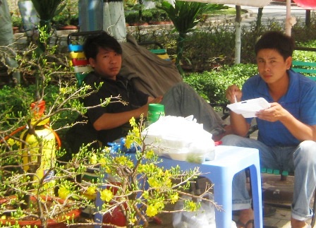 Ít khách mua, người bán hoa cảnh “rảnh mà rầu” - 11 Ít khách mua, người bán hoa cảnh “rảnh mà rầu” - 11