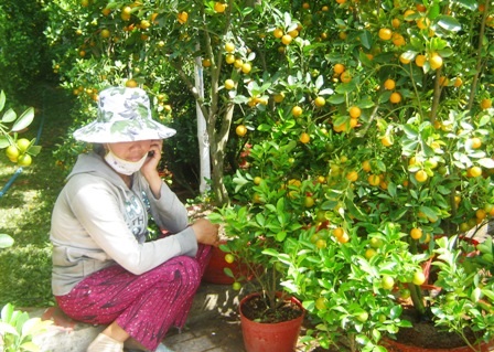 Ít khách mua, người bán hoa cảnh “rảnh mà rầu” - 3 Ít khách mua, người bán hoa cảnh “rảnh mà rầu” - 3