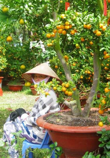 Ít khách mua, người bán hoa cảnh “rảnh mà rầu” - 8 Ít khách mua, người bán hoa cảnh “rảnh mà rầu” - 8