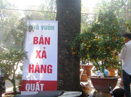 Hoa bình dân chưa lo ế, cảnh đắt sớm “xả hàng” - 5 Hoa bình dân chưa lo ế, cảnh đắt sớm “xả hàng” - 5