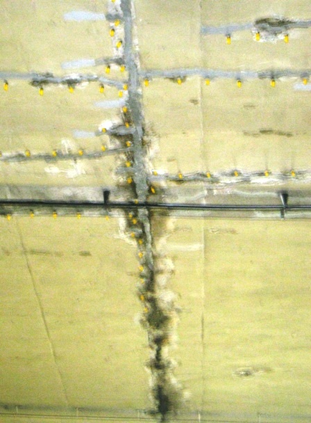 Tại một số điểm không khó để thấy nước bị thấm ở các vết nứt.