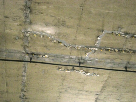 Tại một số điểm không khó để thấy nước bị thấm ở các vết nứt.