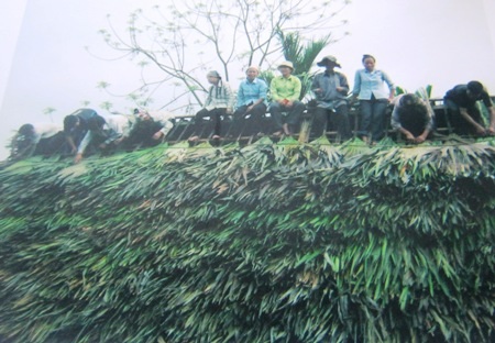 Người dân tộc Thái hỗ trợ nhau trong việc dựng nhà. 