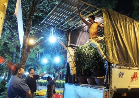 Khi đêm cũng tất bật như ngày - 5 Dừa từ đầu mối đổ về lúc 1 giờ sáng, nhóm phụ việc tất tả xuyên đêm bốc xếp hàng.