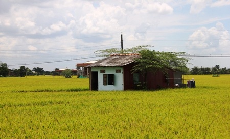 Nỗi đau của gia đình tài xế “chọn cái chết để hành khách được sống” - 5 Hai đứa trẻ không dám tin từ nay đã mất cha
