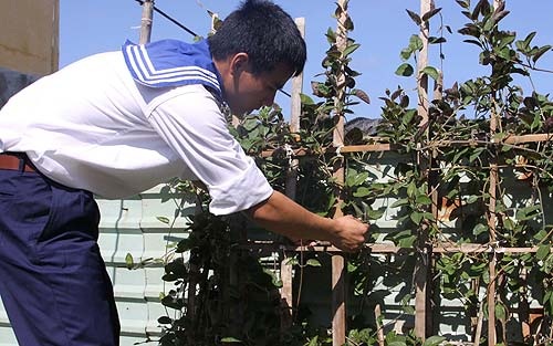 Lính đảo chìm - 2 Lính đảo chìm - 2