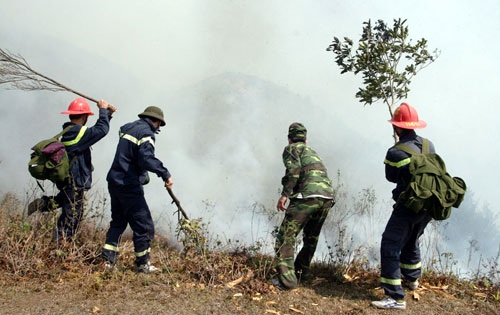 Đã dập tắt hoàn toàn các đám cháy ở rừng Hoàng Liên