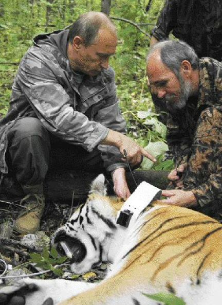 Những điều thú vị ít biết về Tổng thống Putin - 14 Vào năm 2008,