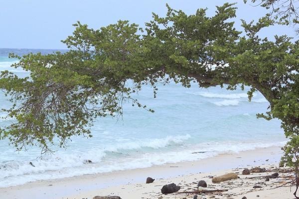 Phú Quốc có tên trong những đảo du lịch rẻ nhất Đông Nam Á - 2 Đảo Gili Trawangan của Indonesia có dịch vụ rẻ nhất Đông Nam Á