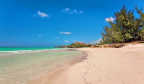 Những trải nghiệm thú vị cho du khách tới Cuba - 7 Bơi cùng cá heo