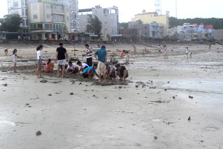 Sáng ngày 25/6, du khách đổ ra bãi biển tại khu 3 thị trấn Cô Tô để nhặt sò, ốc sau bão