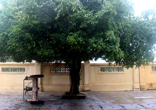 Chiếc xe bị lật nghiêng vì gió lớn