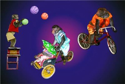 Gala xiếc của ba nước Đông Dương tại Hà Nội - 3 Một tiết mục xiếc mạo hiểm