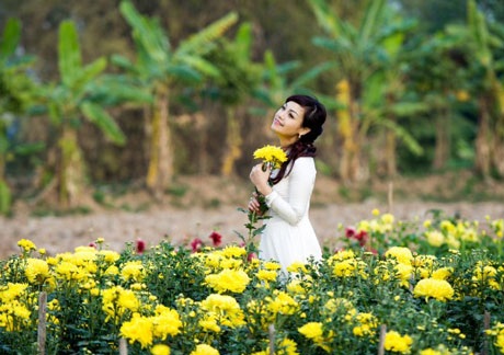 Nghệ sỹ gửi lời chúc năm mới bình an đến độc giả Dân trí - 11 Năm Ất Mùi, Ngọc Khuê xin gửi tới độc giả báo