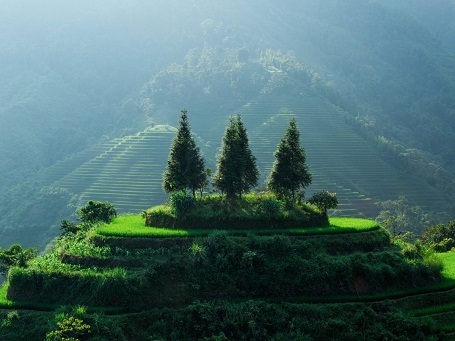 “Khi lái xe dọc những cung đường, tôi tự nhủ rằng Việt Nam quá đẹp. Tôi nghĩ mình vừa tìm thấy một góc chụp đẹp nhất, nhưng rồi lái xe thêm một đoạn, tôi lại tìm thấy một góc chụp đẹp hơn. Có thể tôi sẽ không bao giờ tìm được góc chụp đẹp nhất ở nơi này, nhưng tôi biết nơi này sẽ cho tôi động lực để tìm ra những góc chụp đẹp hơn nữa” - Réhahn.