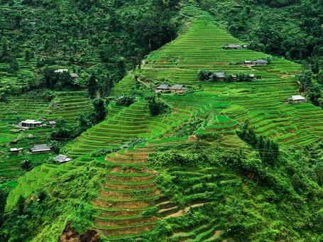 Người Phù Lá làm ruộng bậc thang. Đây là cánh đồng ở huyện Hoàng Su Phì, tỉnh Hà Giang.