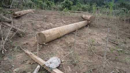 Cận cảnh hiện trường tang tóc vụ lật xe 14 người thương vong - 11