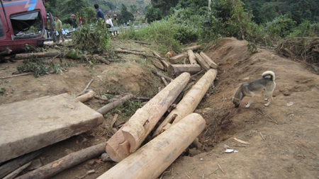 Cận cảnh hiện trường tang tóc vụ lật xe 14 người thương vong - 13