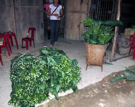 Ngược núi săn lá dong rừng cuối năm - 6