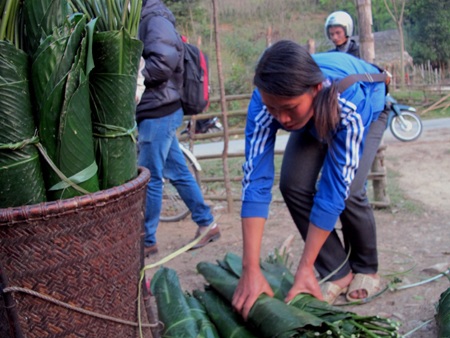 Ngược núi săn lá dong rừng cuối năm - 3