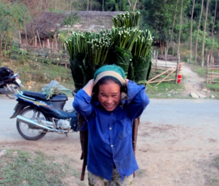 Ngược núi săn lá dong rừng cuối năm - 5