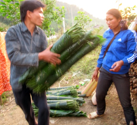 Ngược núi săn lá dong rừng cuối năm - 4