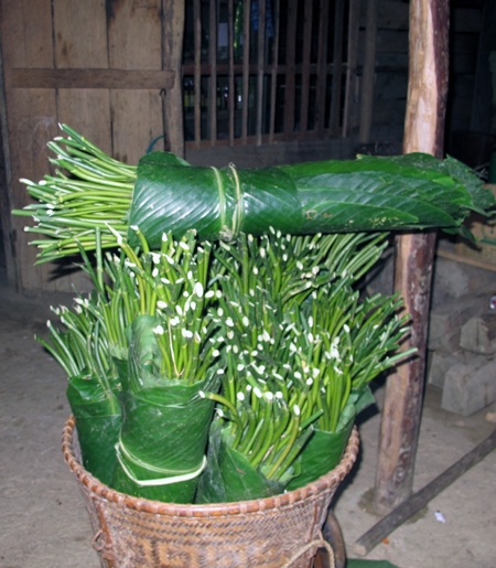 Ngược núi săn lá dong rừng cuối năm - 7