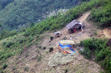 Cụ bà bị lợn rừng tấn công nhập viện  - 1